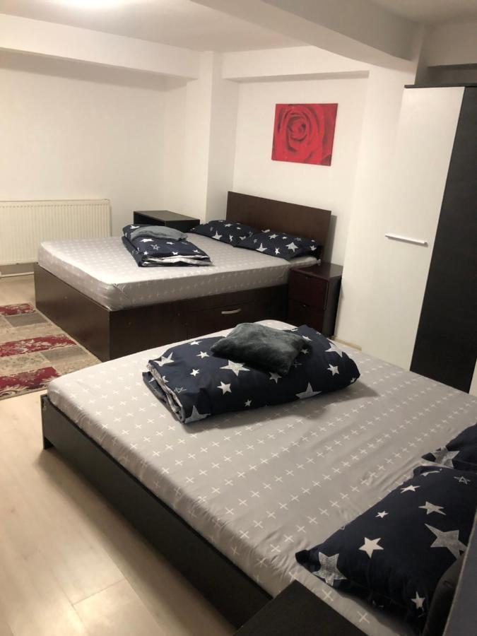 Hostel Mialma Онешти Экстерьер фото